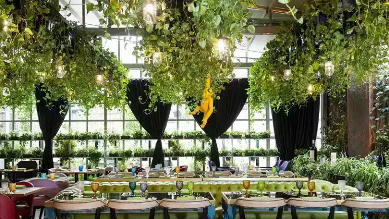 social sciences conference