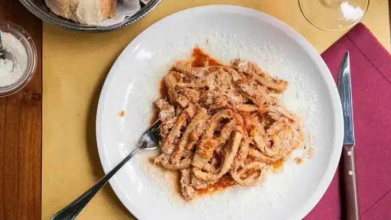 social sciences conference